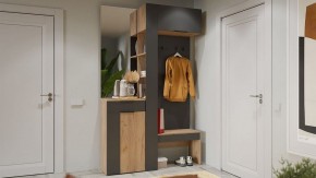 Вешалка с полками Асти в Тарко-Сале - tarko-sale.mebel24.online | фото 5