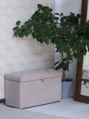 Банкетка 1060 в Тарко-Сале - tarko-sale.mebel24.online | фото