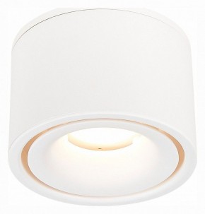 Встраиваемый светильник на штанге ST-Luce ST652 ST652.548.12 в Тарко-Сале - tarko-sale.mebel24.online | фото 3