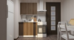 ЯНА Кухонный гарнитур Мини (1000 мм) в Тарко-Сале - tarko-sale.mebel24.online | фото
